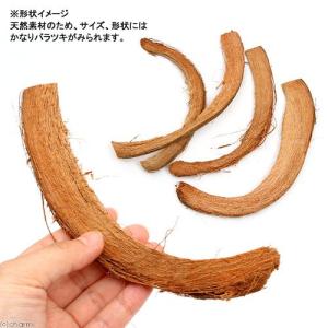 鳴き虫の産卵材 とまり木 ハスクスライス 10...の詳細画像2