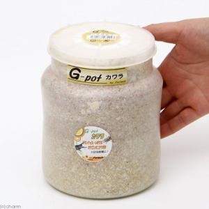 菌糸ビン G-pot カワラタケ 1500cc...の詳細画像1
