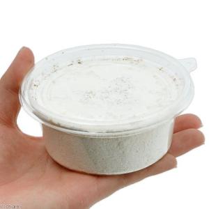 菌糸カップ XL-CUP ヒラタケ 200cc 1個の詳細画像1