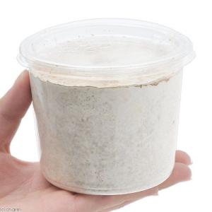 菌糸カップ XL-CUP カワラタケ 430c...の詳細画像1
