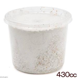 菌糸カップ　ＸＬ−ＣＵＰ　ヒラタケ　４３０ｃｃ　１０個
