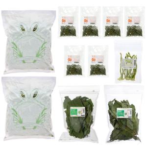 Leaf Corp 令和8年産 国産牧草 やみつきチモシー 20g お試しサイズ