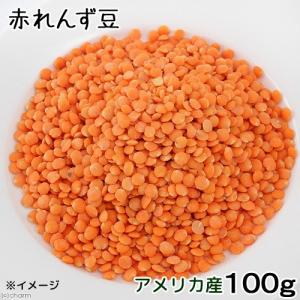 赤レンズ豆　１００ｇ　爬虫類のおやつ　爬虫類　トカゲ　カメ　アガマ　フトアゴ　無添加　無着色