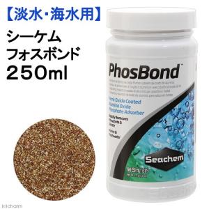 Seachem シーケム マトリックスカーボン Matrix Carbon 2L Seachem