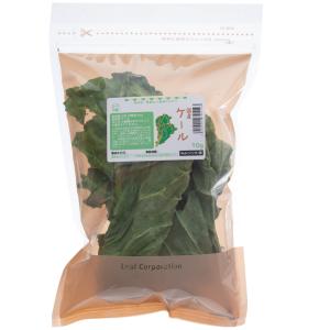 国産　ケール　１０ｇ　小動物のおやつ　うさぎ　ハムスター　無添加　無着色