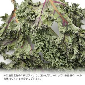 国産 ケール 10g 小動物のおやつ うさぎ ...の詳細画像3