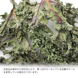 国産 ケール 10g 小動物のおやつ うさぎ ...の詳細画像4