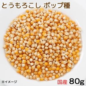 国産　とうもろこし　粒々　ポップ種　８０ｇ　小動物用のおやつ　無添加　無着色