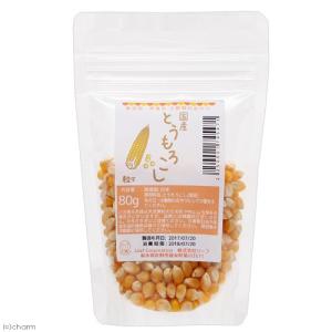 国産 とうもろこし 粒々 ポップ種 80g 小...の詳細画像1