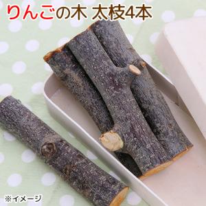 Leaf Corp かじり木 国産 りんごの木のかじり木 ショート 20本入 細