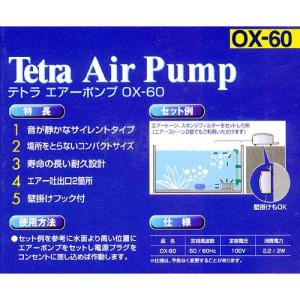 (熱帯魚)キングタイガー・ペコルティア Sサイ...の詳細画像2