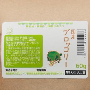 国産 ブロッコリー 60g 小動物のおやつ う...の詳細画像1