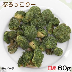 国産 ブロッコリー 60g 小動物のおやつ う...の詳細画像2