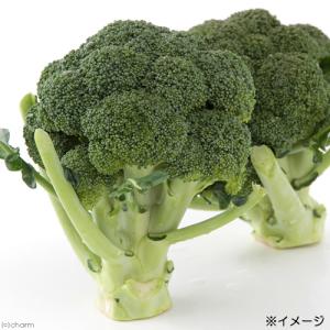 国産 ブロッコリー 60g 小動物のおやつ う...の詳細画像3
