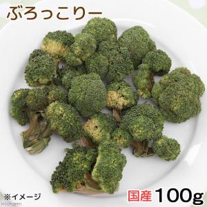 国産 ブロッコリー 100g 小動物のおやつ ...の詳細画像2