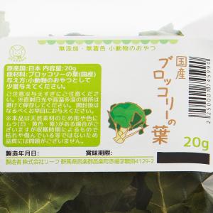 国産 ブロッコリーの葉 20g 小動物のおやつの詳細画像2