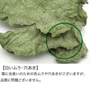 国産 ブロッコリーの葉 20g 小動物のおやつの詳細画像3