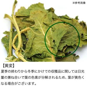 国産 ブロッコリーの葉 20g 小動物のおやつの詳細画像4