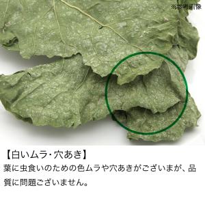 国産 ブロッコリーの葉 70g 小動物のおやつ...の詳細画像2