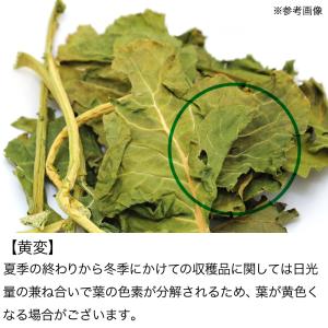 国産 ブロッコリーの葉 70g 小動物のおやつ...の詳細画像3