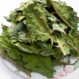 国産 ブロッコリーの葉 150g お徳用パック...の詳細画像2