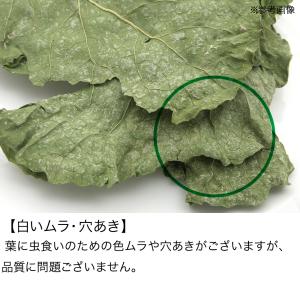 国産 ブロッコリーの葉 150g お徳用パック...の詳細画像4