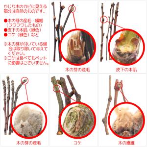 かじり木 長野県産 ぶどうの木 細枝 60g ...の詳細画像4