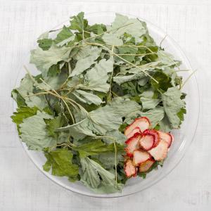 国産　いちごの葉と果実　４０ｇ　小動物のおやつ　うさぎ　ハムスター　無添加　無着色