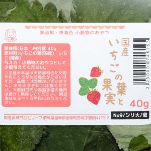 国産 いちごの葉と果実 40g 小動物のおやつ...の詳細画像1