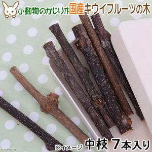 かじり木 国産 キウイフルーツの木 中枝 7本入...の商品画像