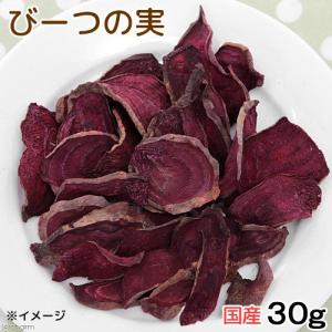 《一旦非表示》国産　ビーツの実　３０ｇ　小動物のおやつ　ドライ野菜　無添加　無着色