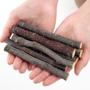 かじり木 国産 りんごの木 中枝 500g お...の詳細画像1