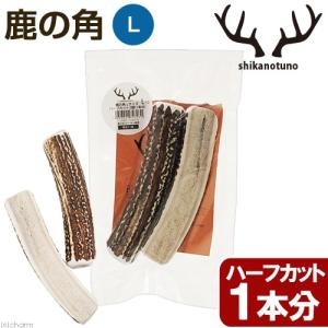 大型犬用　鹿の角　Ｌサイズ　ハーフカット　２個（１本分）　（長さ１４〜１８ｃｍ以下）　中型犬　大型犬　犬用おもちゃ　デンタルケア　鹿角　国産｜chanet