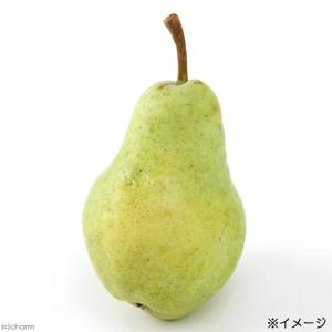 犬 おやつ 果物 長野県産 西洋梨 20g 国...の詳細画像3