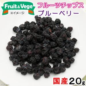 NUTRI BITES フリーズドライサーモン 犬猫用510g 1805224 オメガ3 100