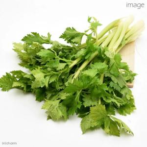 国産 セロリ 20g 小動物のおやつ ドライ野...の詳細画像4