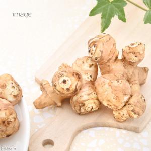 国産 きくいも 30g 小動物のおやつ 国産 ...の詳細画像4
