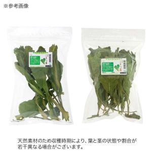 国産 こまつ菜 20g 小動物のおやつ 国産 ...の詳細画像3