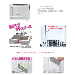 爬虫類ケージ 三晃商会 パンテオン ホワイト ...の詳細画像1
