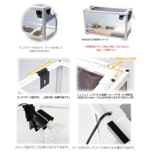 爬虫類ケージ 三晃商会 パンテオン ホワイト ...の詳細画像2