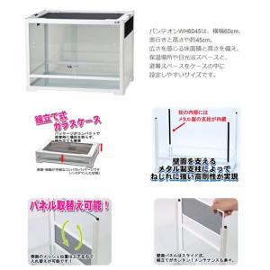 爬虫類ケージ 三晃商会 パンテオン ホワイト ...の詳細画像1