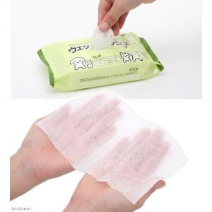 肌に優しいヒアルロン酸配合 ノンアルコール チ...の詳細画像1