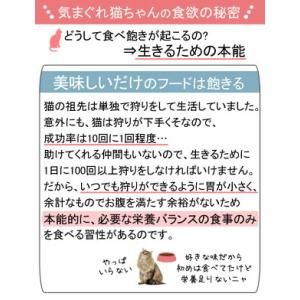 ロイヤルカナン 猫 ステアライズド 成猫用 8...の詳細画像1