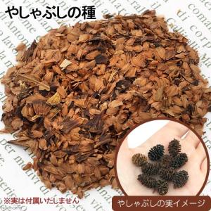 盆栽樹木タネ やしゃぶしの種 5g 山野草 種子 家庭菜園