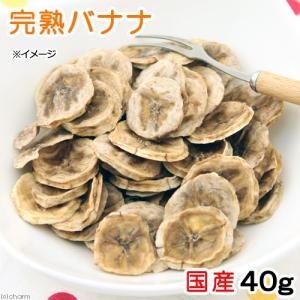 オリエンタル酵母 ウサギ・モルモット用飼料 LRC4 20kg : イコアペット