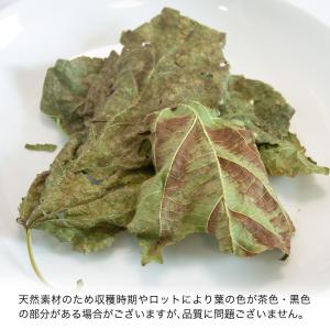 国産 くわの葉 5g 小動物のおやつ 無添加 無着色の詳細画像3