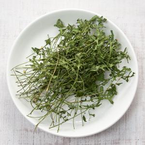 国産 なずな(ぺんぺん草) 5g 小動物用のお...の詳細画像2