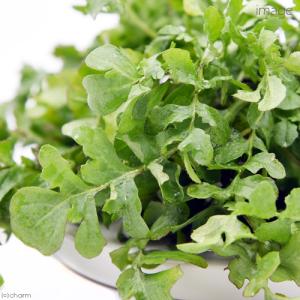 国産 なずな(ぺんぺん草) 5g 小動物用のお...の詳細画像4