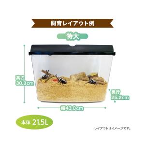プラケース マルカン ワイドビュー BLACK...の詳細画像1