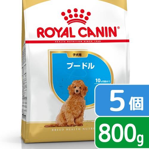 ロイヤルカナン　プードル　子犬用　８００ｇ×５袋　３１８２５５０７８８１３７　ジップ付　お一人様２点...